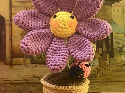 • Flowers & plants